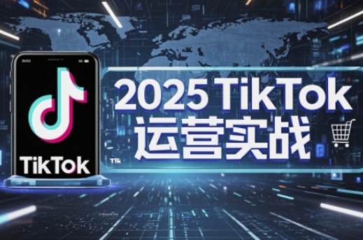 2025TikTok电商运营，掌握TikTok店铺运营核心技巧，实现低成本高转化-轻资本网