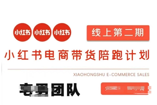 小红书电商带货课2期，月利润20个的小红书电商的有货源，无货源，虚拟产品，付费投流等整套玩法-轻资本网