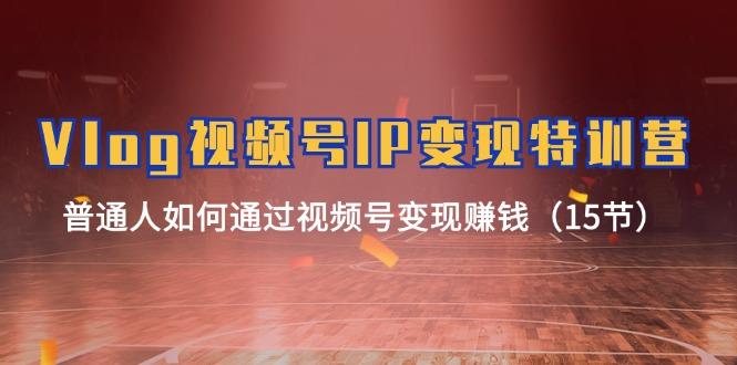 Vlog 视频号IP变现特训营，普通人如何通过视频号变现赚钱(15节-轻资本网