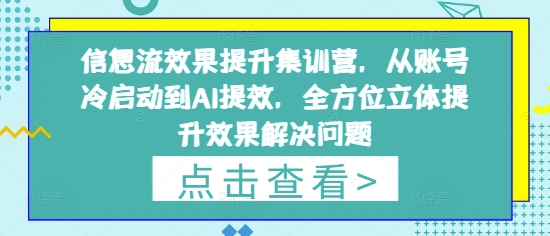 信息流效果提升集训营，从账号冷启动到AI提效，全方位立体提升效果解决问题-轻资本网