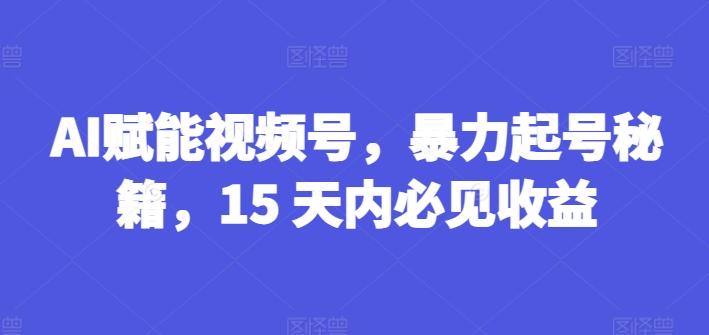 AI赋能视频号，暴力起号秘籍，15 天内必见收益【揭秘】-轻资本网