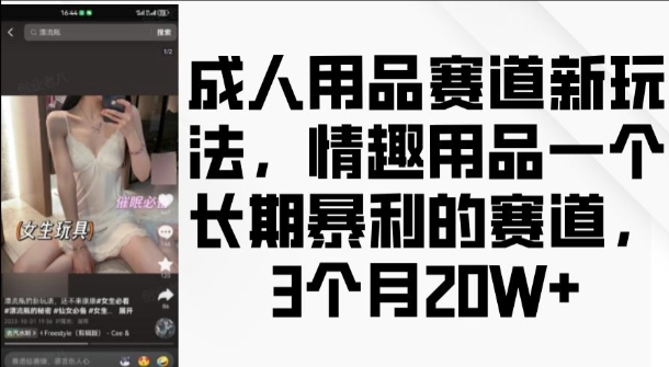 成人用品赛道新玩法，情趣用品一个长期暴利的赛道，3个月收益20个【揭秘】-轻资本网