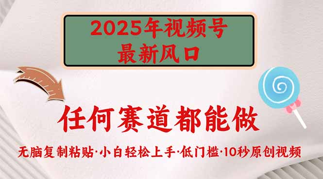 2025年视频号新风口，低门槛只需要无脑执行-轻资本网