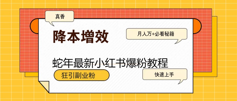 蛇年最新小红书爆粉教程，狂引副业粉，月入万+必看-轻资本网