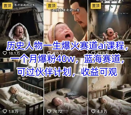 历史人物一生爆火赛道ai课程，一个月爆粉40w，蓝海赛道，可过伙伴计划，收益可观-轻资本网
