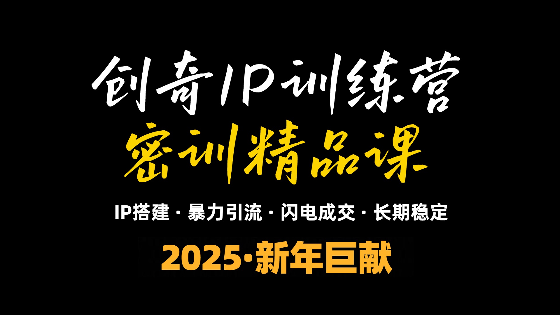 2025年“知识付费IP训练营”小白避坑年赚百万，暴力引流，闪电成交-轻资本网