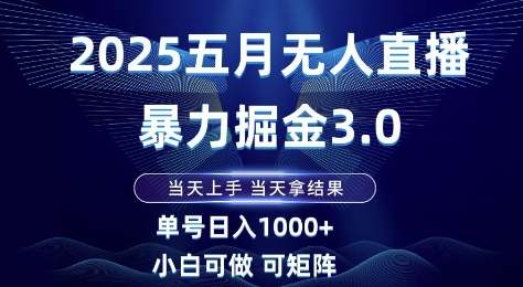 2025五月无人直播暴力掘金3.0，当天上手，当天拿结果，单号日入1k+小白可做可矩阵【揭秘】-轻资本网