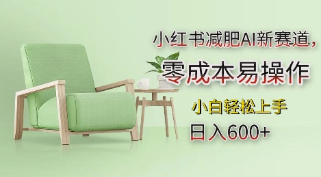 小红书减肥AI新赛道，零成本易操作，日入多张，小白轻松上手【揭秘】-轻资本网