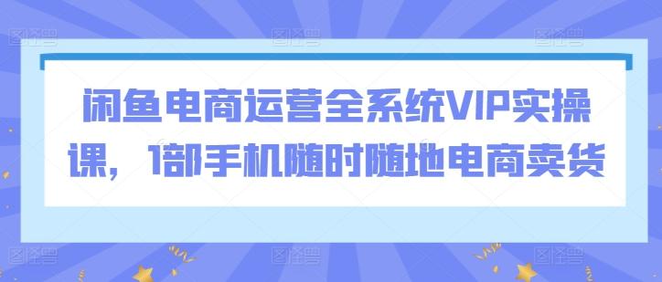 闲鱼电商运营全系统VIP实操课，1部手机随时随地电商卖货-轻资本网