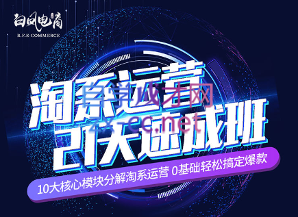 淘系运营21天速成班(更新24年5月)-轻资本网