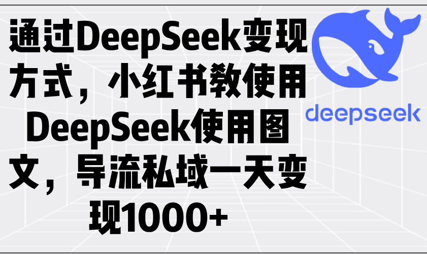 通过DeepSeek变现方式，小红书教使用DeepSeek图文，导流私域一天变现1000+-轻资本网
