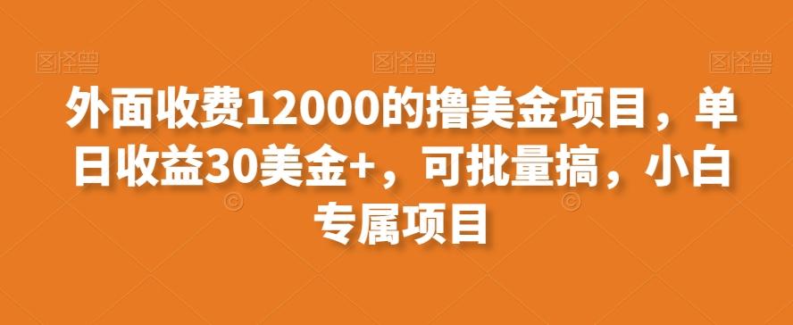 外面收费12000的撸美金项目，单日收益30美金+，可批量搞，小白专属项目-轻资本网