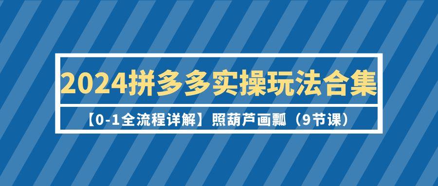 (9559期)2024拼多多实操玩法合集【0-1全流程详解】照葫芦画瓢(9节课)-轻资本网
