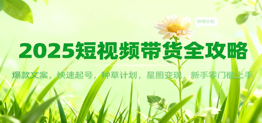 2025短视频带货全攻略：爆款文案，快速起号，种草计划，星图变现，新手零门槛上手-轻资本网