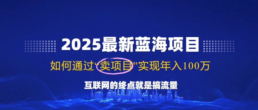 2025最新蓝海项目，零门槛轻松复制，月入10万+，新手也能操作！-轻资本网