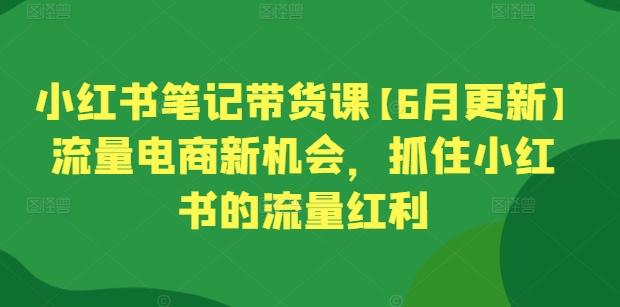 小红书笔记带货课【6月更新】流量电商新机会，抓住小红书的流量红利-轻资本网