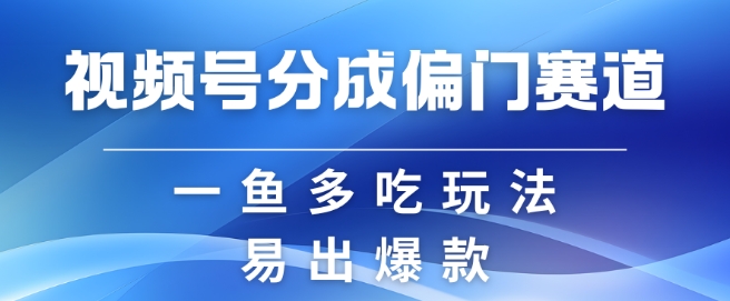 视频号创作者分成计划偏门类目，容易爆流，实拍内容简单易做【揭秘】-轻资本网