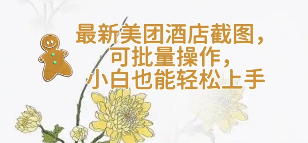 【轻云】最新美团酒店截图，可批量操作，小白也能轻松上手-轻资本网