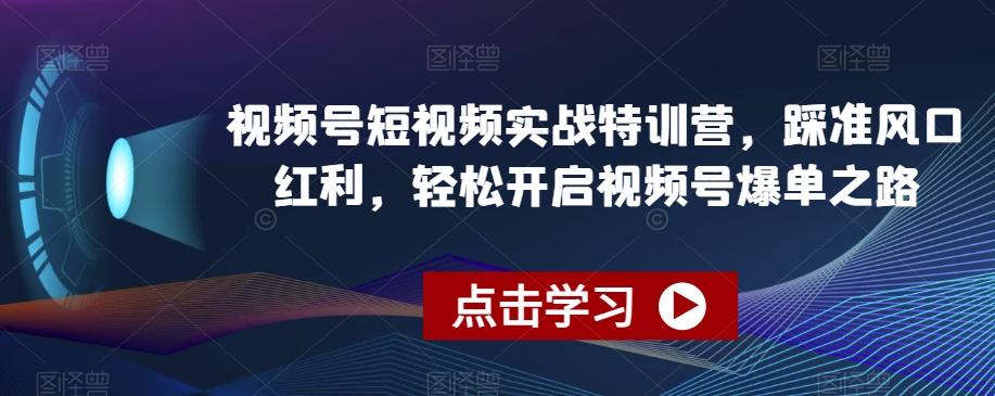视频号短视频实战特训营，踩准风口红利，轻松开启视频号爆单之路-轻资本网