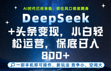 DeepSeek+头条变现，保姆级教学，小白轻松上手，日入8张+【揭秘】-轻资本网