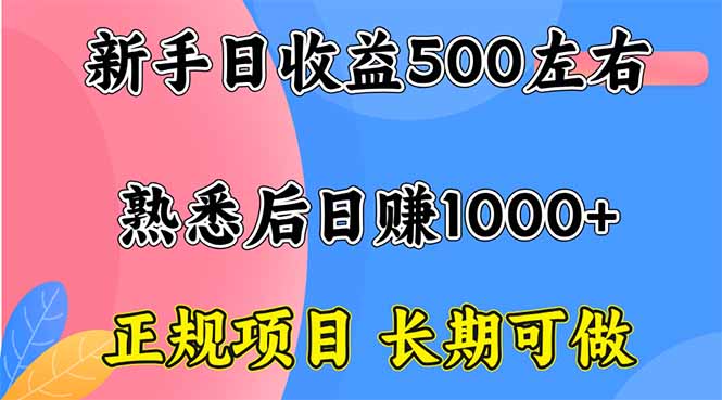 新手日收益500+ 正规项目 长期可做-轻资本网