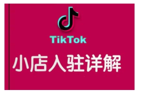 TikTok跨境小店运营全攻略，帮助你独立运营TK跨境小店的能力，实现销量增长-轻资本网
