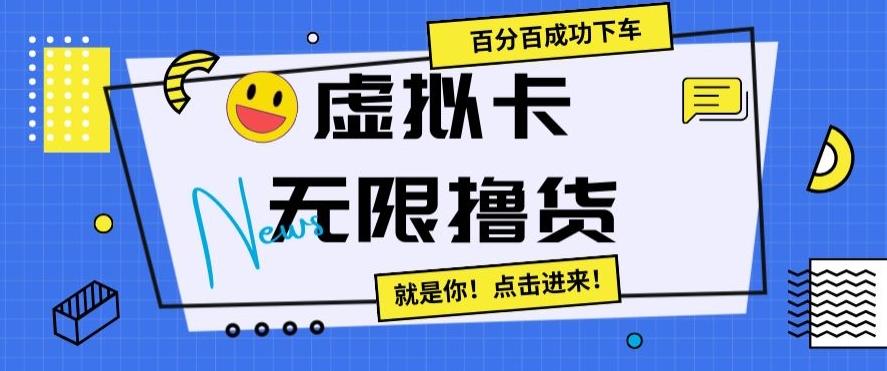 虚拟卡无限撸货，百分百成功下车【仅揭秘】-轻资本网