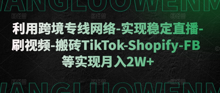 利用跨境专线网络-实现稳定直播-刷视频-搬砖TikTok-Shopify-FB等实现月入2W+【揭秘】-轻资本网
