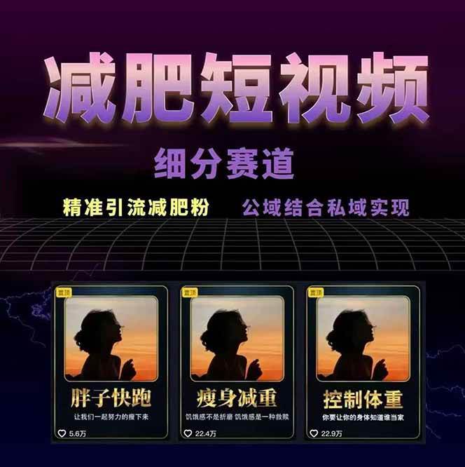 图片[2]-减肥短视频运营实战课：含素材制作、剪映教学，讲精准引流、变现设计与内容模板技巧-轻资本网