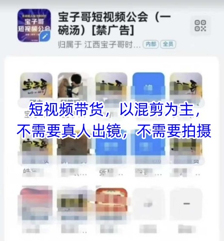 宝子哥头部团队短视频带货，以混剪为主，不需要真人出镜，不需要拍摄【更新11月】-轻资本网