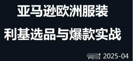 跨境电商选品案例24-25年，聚焦跨境电商选品策略与运营优化，助力卖家挖掘蓝海市场-轻资本网