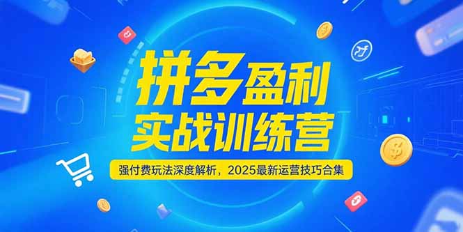 拼多多盈利实战训练营，强付费玩法深度解析，2025运营技巧合集-更新6月-轻资本网