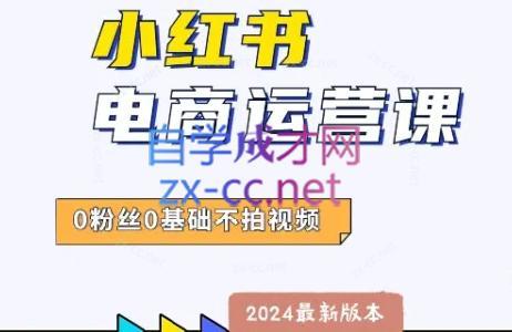 达哥·小红书电商运营(2024版)-轻资本网