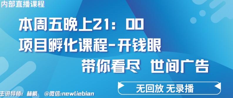 4.26日内部回放课程《项目孵化-开钱眼》赚钱的底层逻辑【揭秘】-轻资本网