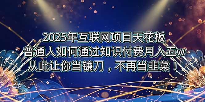 2025年互联网项目天花板，普通人如何通过卖项目实现逆风翻盘，月入5W＋！-轻资本网
