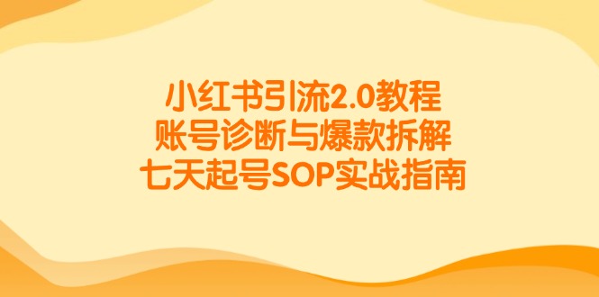 小红书引流2.0教程，账号诊断与爆款拆解，七天起号SOP实战指南-轻资本网