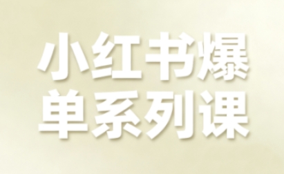 小红书爆单系列课，聚焦小红书电商全链路增长-轻资本网