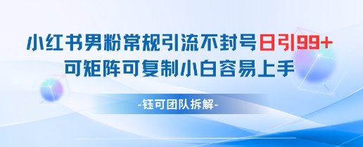 小红书男粉常规引流不封号日引99+变现简单 可矩阵可复制小白容易上手-轻资本网