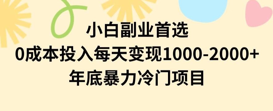 小白副业首选，0成本投入，每天变现1000-2000年底暴力冷门项目【揭秘】-轻资本网