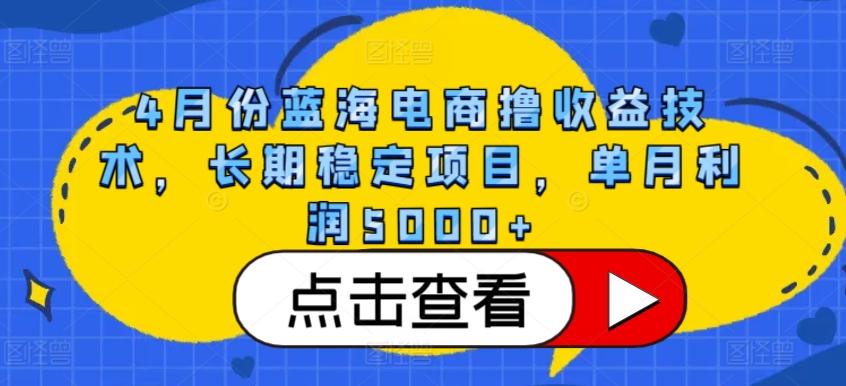 4月份蓝海电商撸收益技术，长期稳定项目，单月利润5000+【揭秘】-轻资本网
