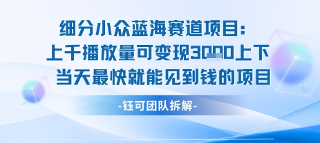 小众蓝海赛道项目：当天变现1k+适合新手操作 +适合长期玩-轻资本网