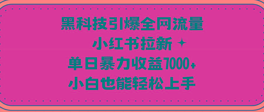 (9679期)黑科技引爆全网流量小红书拉新，单日暴力收益7000+，小白也能轻松上手-轻资本网