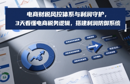 电商财税风控体系与利润守护，3天看懂电商税务逻辑，搭建利润防御系统-轻资本网