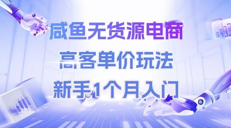 咸鱼无货源电商，高客单价玩法，新手1个月入门-轻资本网