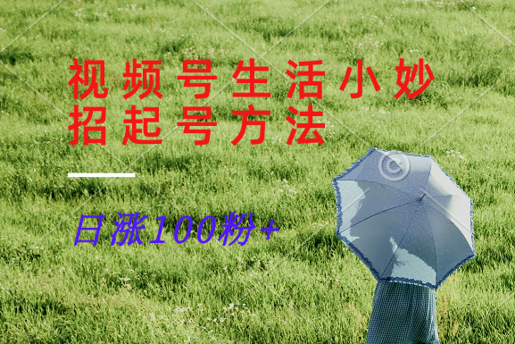 视频号生活小妙招分享赛道， 起号涨粉新方法，日涨100粉-轻资本网