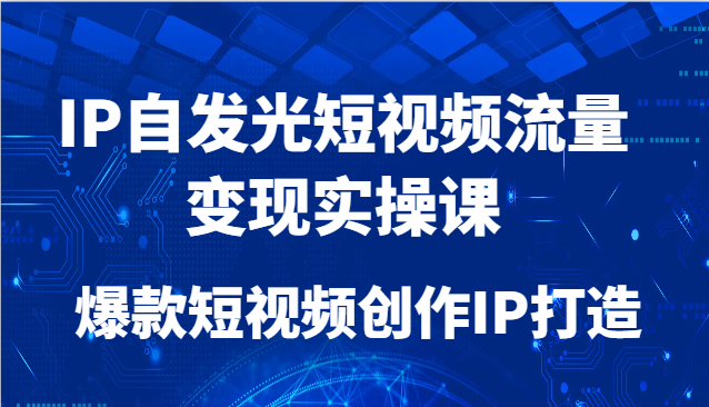 IP自发光短视频流量变现实操课，爆款短视频创作IP打造-轻资本网