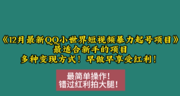 12月最新QQ小世界短视频暴力起号项目，最适合新手的项目，多种变现方式-轻资本网