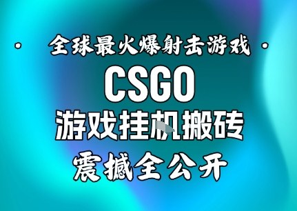 【年底大揭秘】基于全球最火爆的射击CSGO游戏挂G搬砖，日入5张+，震撼公开-轻资本网