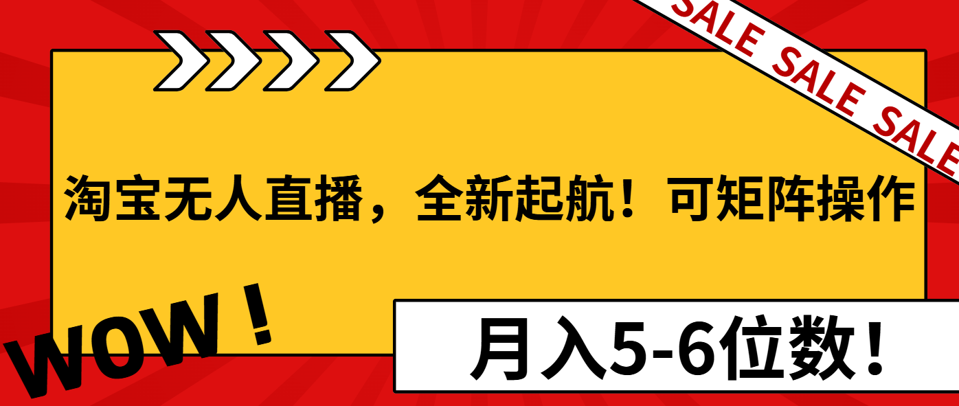 淘宝无人直播，全新起航！可矩阵操作，月入5-6位数！-轻资本网