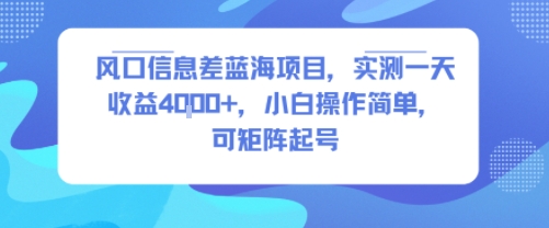 风口信息差蓝海项目，实测一天收益4k+，小白操作简单，可矩阵起号-轻资本网